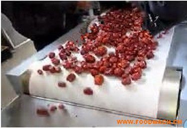 �t��΢����əC(j��)