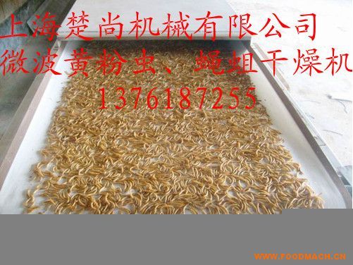 ΢���S���x��ω������C