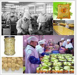 ʳ�þ����^�ӹ����a(ch��n)��