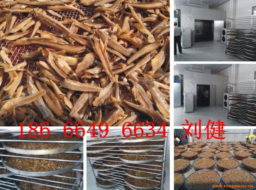 С�~��əC(j��)