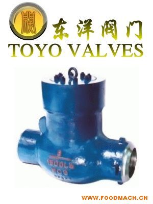 ����ֹ���y