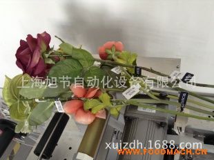 �߉���|�N��(bi��o)�C(j��)