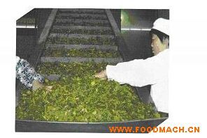 �����C(j��)