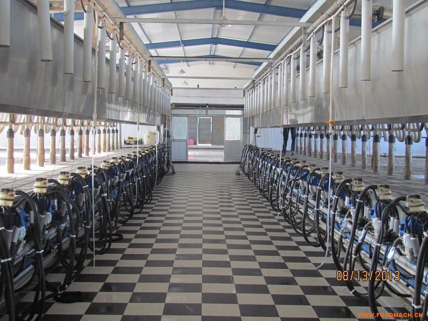 ���M(j��n)����D�̙C(j��)