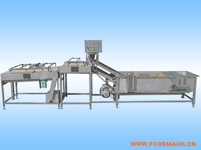 ��ݮ��ϴ��ˮ��