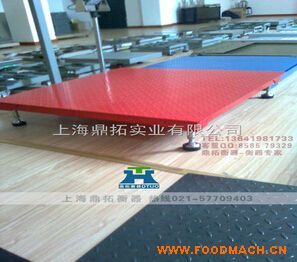 SCS����ӡ�ذ���