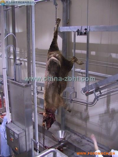 ţ������늴̼��b��