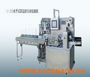 SF-250ˮƽʽ��߅���Ԅ���ʽ���b�C