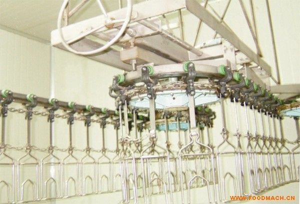 �������יCе-�uݔ�;�