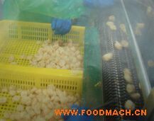 �r����ը�Cݔ���O��