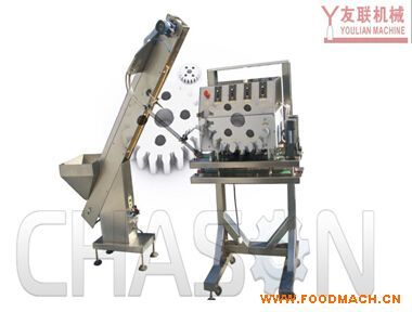 CH300��ȫ�Ԅ�ֱ��ʽ���w�C(j��)