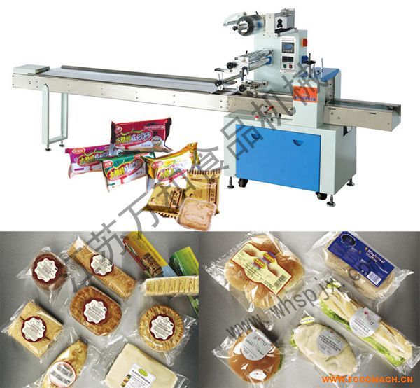 WHB-450��ʽ���b�C(j��)