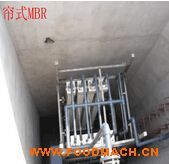 MBR�O(sh��)��