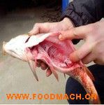 ȫ�ԄӚ��~�C