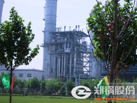 4������偠t��ů偠t