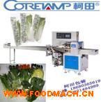 �๦���߲˰��b�C(j��)