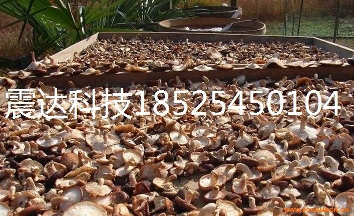 �㹽��əC(j��)�S�����u