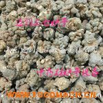 �S��ȫ�Ԅ�(d��ng)��ˎ�ĺ���O(sh��)��