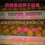 �S�ҟ��N �u������淿 