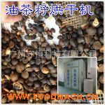 �S�����a(ch��n)�Ͳ��Ѻ�əC