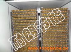 �S��ֱ�N��ˎ�ĺ�əC(j��) 