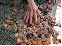 ��(ji��)�ܺ������a(ch��n)Ʒ��ɷ�