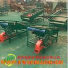 С���N�Ӿ��x�C�S��