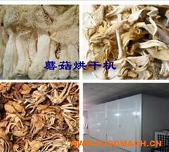 �S��ֱ��Ģ����əC(j��) Ģ����ɷ�