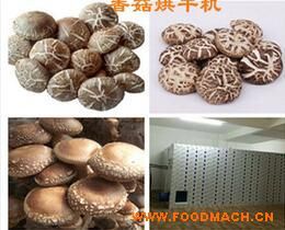 �S��ֱ�N�㹽��əC(j��) �㹽��ɷ�