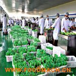 ȫ�Ԅ�������հ��b�C(j��)�r��