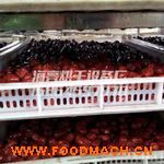 �S��ֱ�N�o������əC