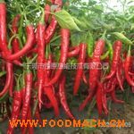 ��ԭ������əC(j��) ��Ч��(ji��)�ܟ�����������O(sh��)��