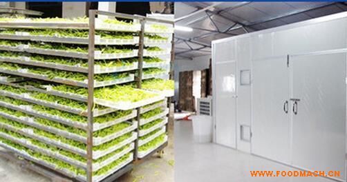 �S��ֱ�N(xi��o)�S���˺�əC(j��)