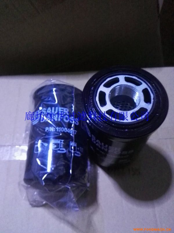 ����(y��ng)�ȷ����A11004917�^�V��