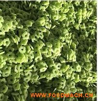 ��Ʒ���a(ch��n)��ͯ��lʳƷ�D���O(sh��)��