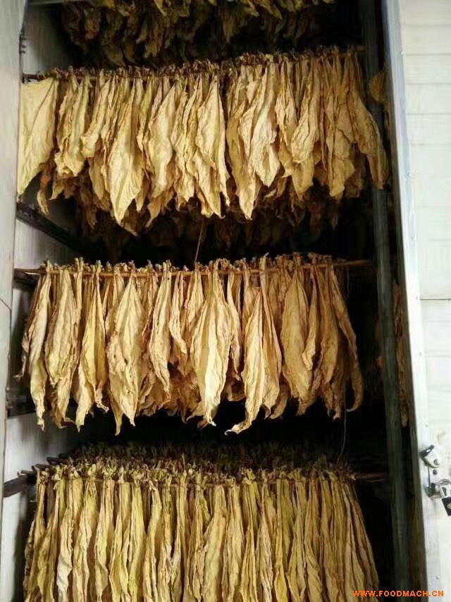 ����늴żӟ�,늴Ų�ů�t,늴żӟ����