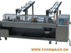 ɊA�ęC(j��)   �A������a(ch��n)��