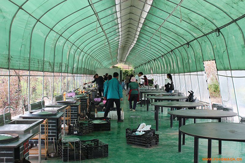 �F偟����u�����_�����